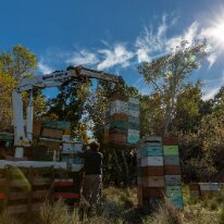 G37A0676 29/04/2019 - Les liaisons lombo-sacrées se portent mieux quand la mécanisation est implémentée. With machines like this one you can say goodbye to back...